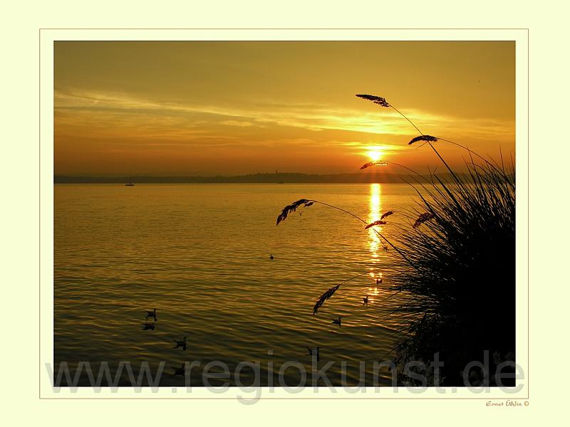 Sonnenuntergang Bodensee-DSCN2001k.jpg